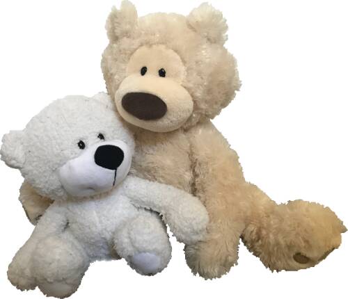 Two hugging teddy bears